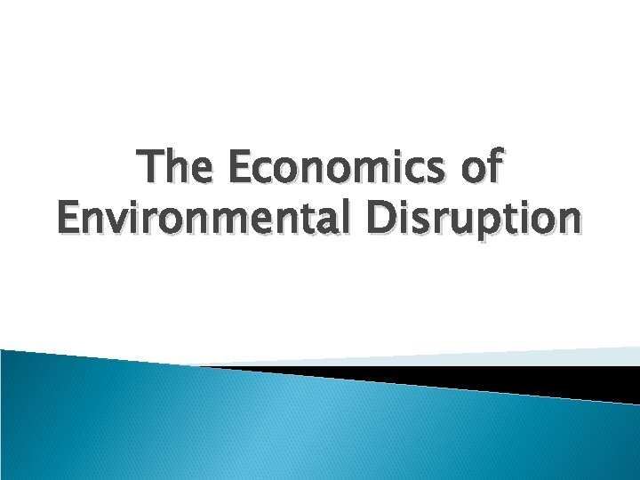The Economics of Environmental Disruption 