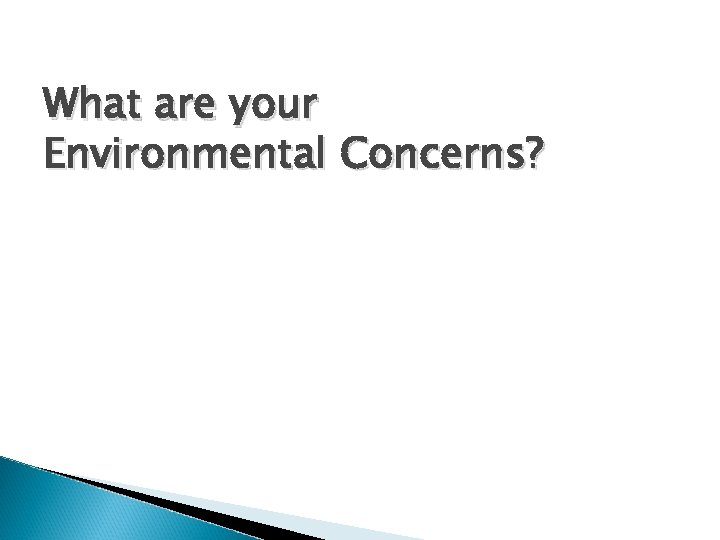 What are your Environmental Concerns? 