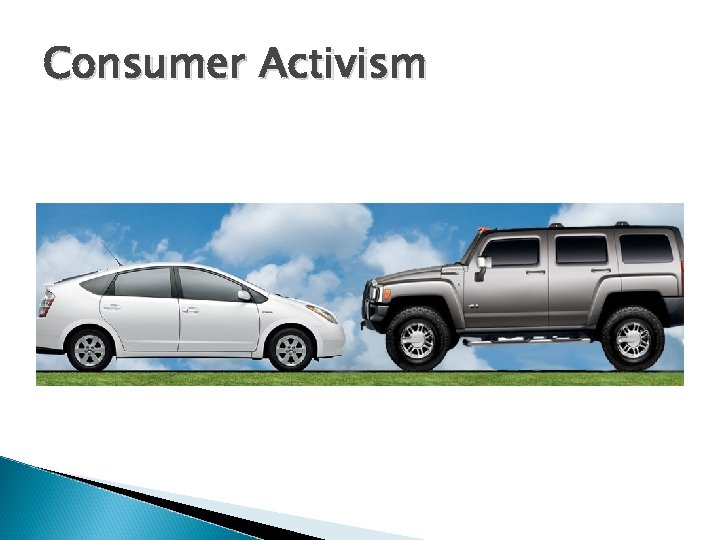 Consumer Activism 
