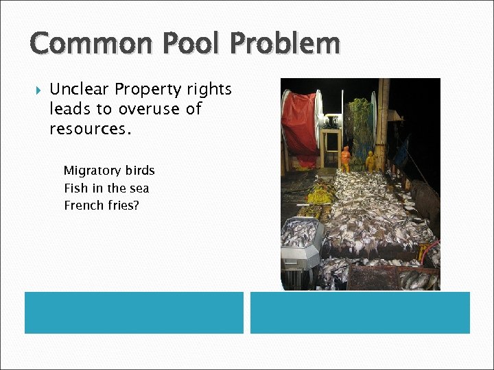 Common Pool Problem Unclear Property rights leads to overuse of resources. Migratory birds Fish