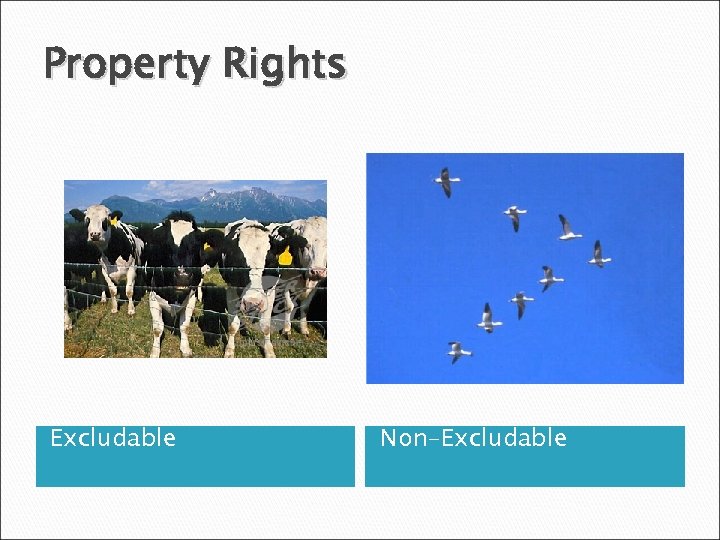 Property Rights Excludable Non-Excludable 