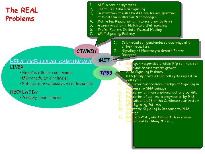 The REAL Problems 1. 2. 3. 4. 5. 6. 7. ALK in cardiac myocytes