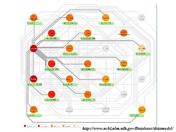 http: //www. ncbi. nlm. nih. gov/Database/datamodel/ 