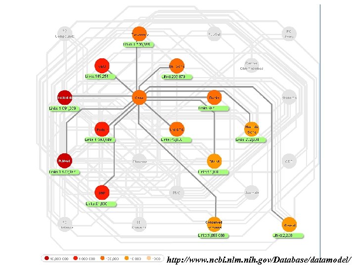 http: //www. ncbi. nlm. nih. gov/Database/datamodel/ 