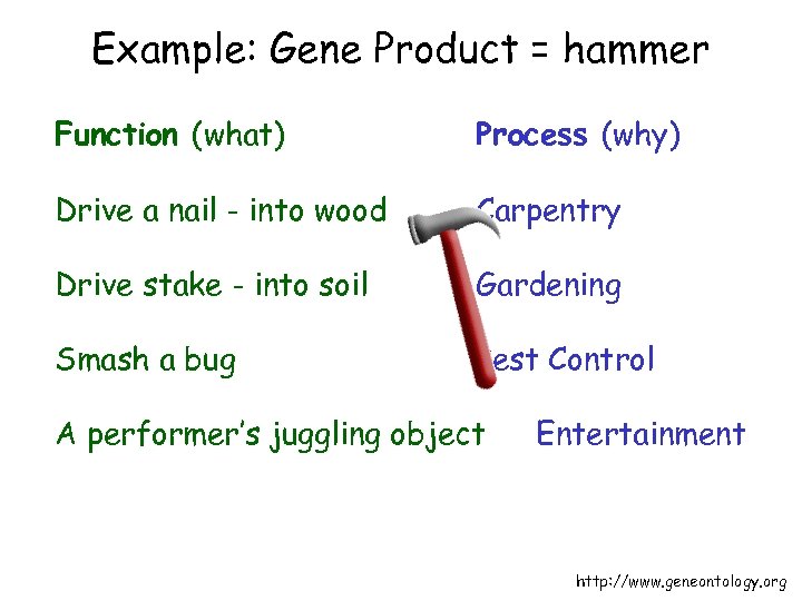 Example: Gene Product = hammer Function (what) Process (why) Drive a nail - into