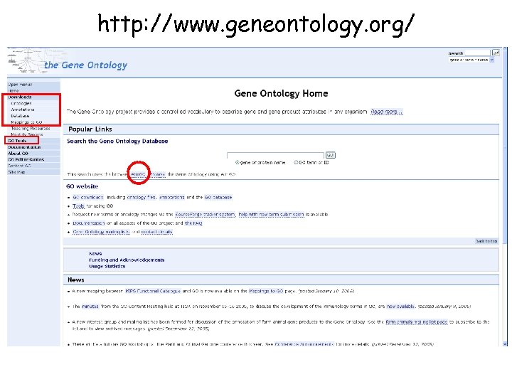 http: //www. geneontology. org/ 