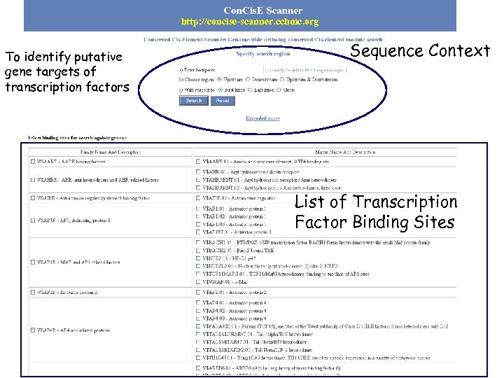 http: //concise-scanner. cchmc. org To identify putative gene targets of transcription factors Sequence Context