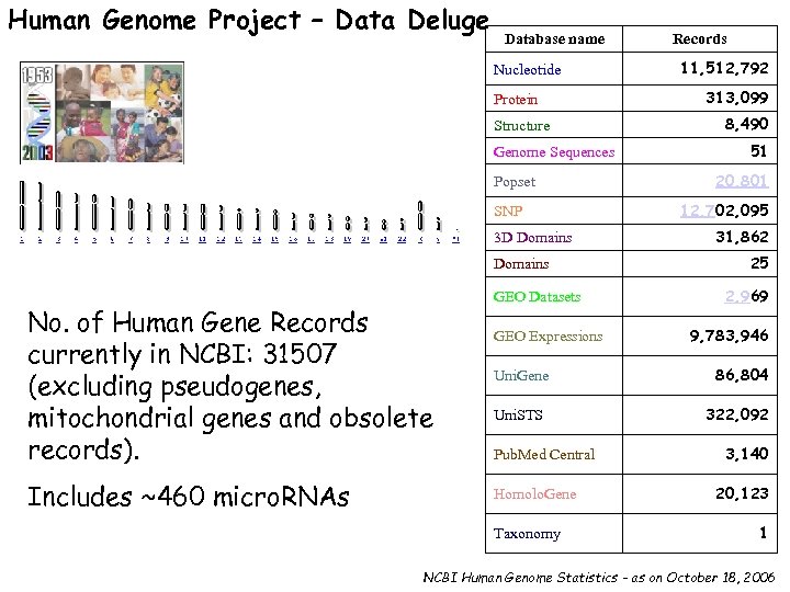 Human Genome Project – Data Deluge Database name Nucleotide Protein Structure Genome Sequences Popset