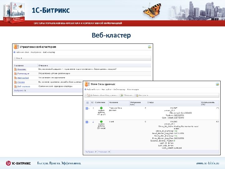 Веб-кластер 
