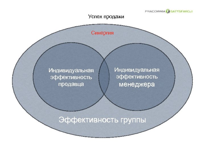 Успех продажи Синергия Индивидуальная эффективность продавца Индивидуальная эффективность менеджера Эффективность группы 