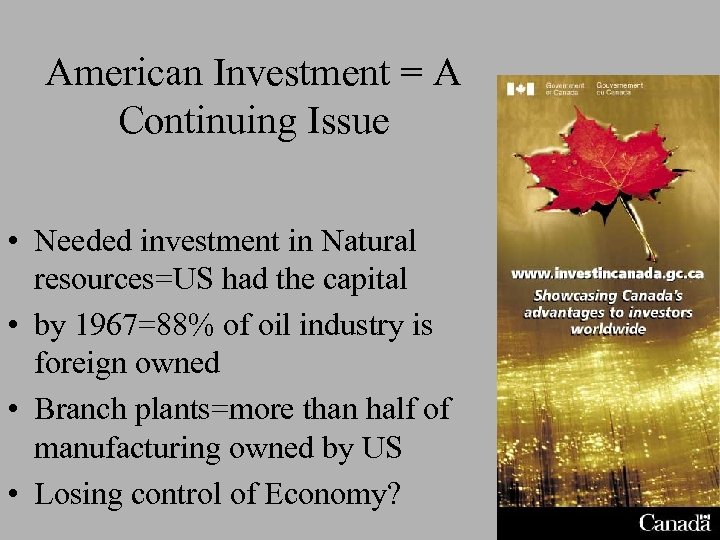 American Investment = A Continuing Issue • Needed investment in Natural resources=US had the
