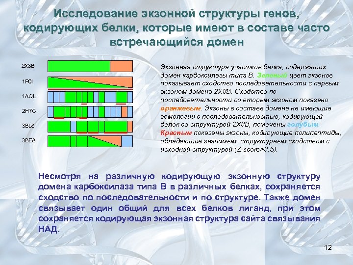 Геном кодирует белки