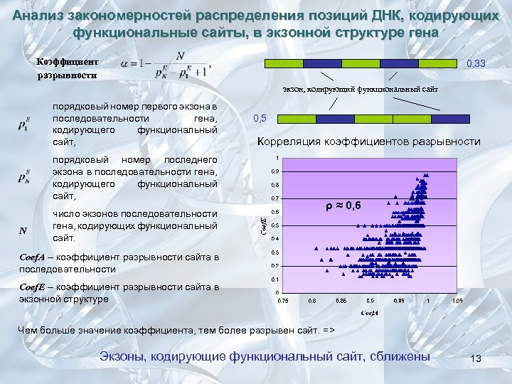 Анализ закономерностей распределения позиций ДНК, кодирующих функциональные сайты, в экзонной структуре гена Коэффициент разрывности