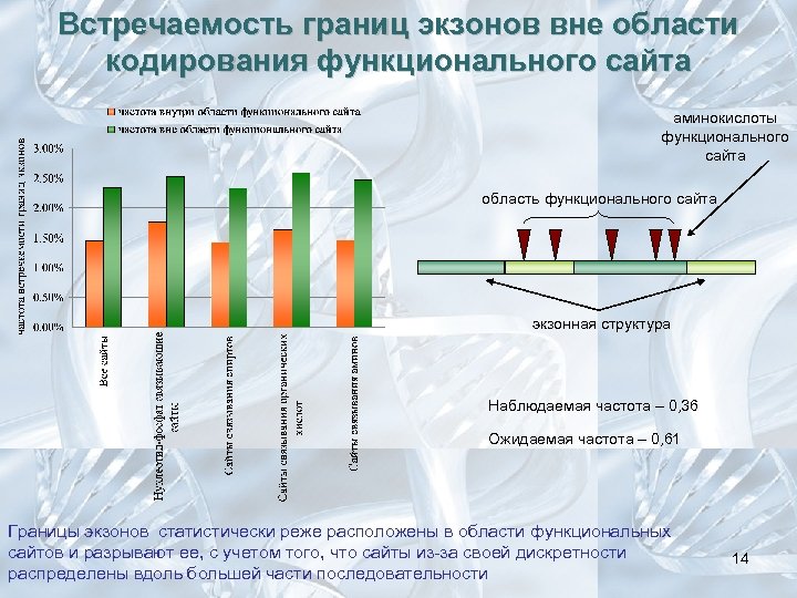 Встречаемость границ экзонов вне области кодирования функционального сайта аминокислоты функционального сайта область функционального сайта