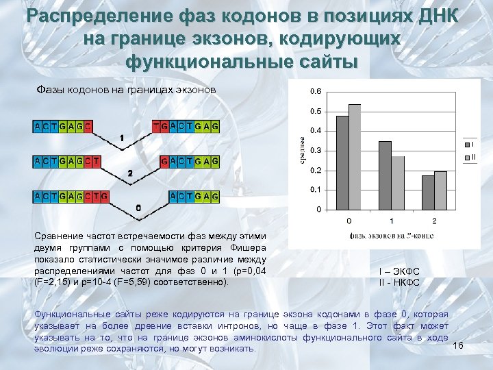 Распределение фаз кодонов в позициях ДНК на границе экзонов, кодирующих функциональные сайты Фазы кодонов