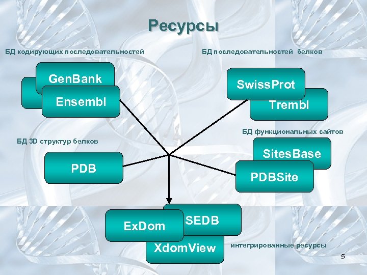 Ресурсы БД кодирующих последовательностей БД последовательностей белков Gen. Bank Swiss. Prot Ensembl Trembl БД