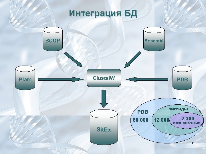 Интеграция БД SCOP Pfam Ensembl Clustal. W PDB 60 000 лиганды 12 000 2