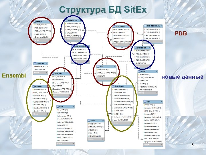 Структура БД Sit. Ex PDB Ensembl новые данные 8 