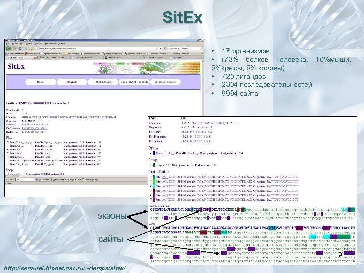 Sit. Ex • 17 организмов • (73% белков человека, 10%мыши, 5%крысы, 5% коровы) •
