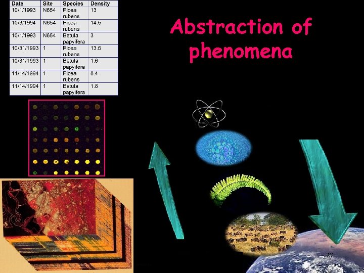 Abstraction of phenomena 27 