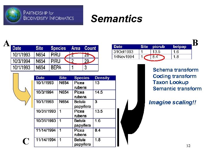 Semantics B A • • Schema transform Coding transform Taxon Lookup Semantic transform Imagine