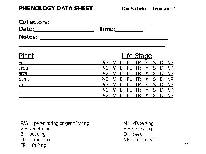 PHENOLOGY DATA SHEET Rio Salado - Transect 1 Collectors: _________________ Date: __________ Time: _____