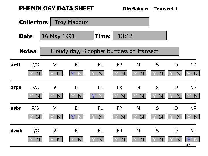 PHENOLOGY DATA SHEET Collectors Date: Notes: ardi Troy Maddux 16 May 1991 Time: V