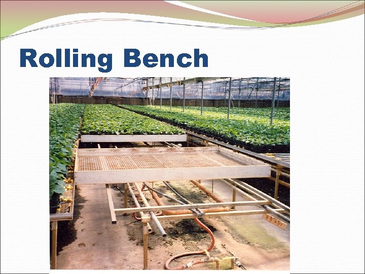 Rolling Bench 