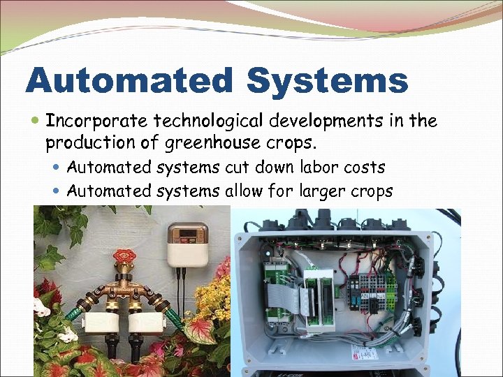 Automated Systems Incorporate technological developments in the production of greenhouse crops. Automated systems cut