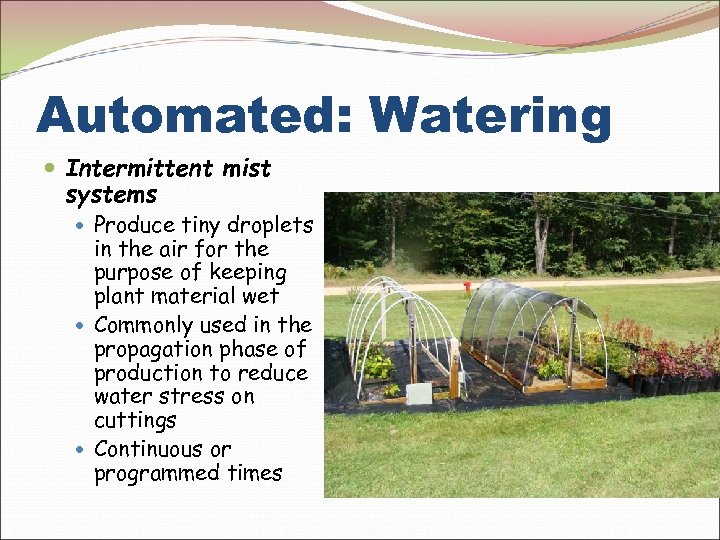 Automated: Watering Intermittent mist systems Produce tiny droplets in the air for the purpose