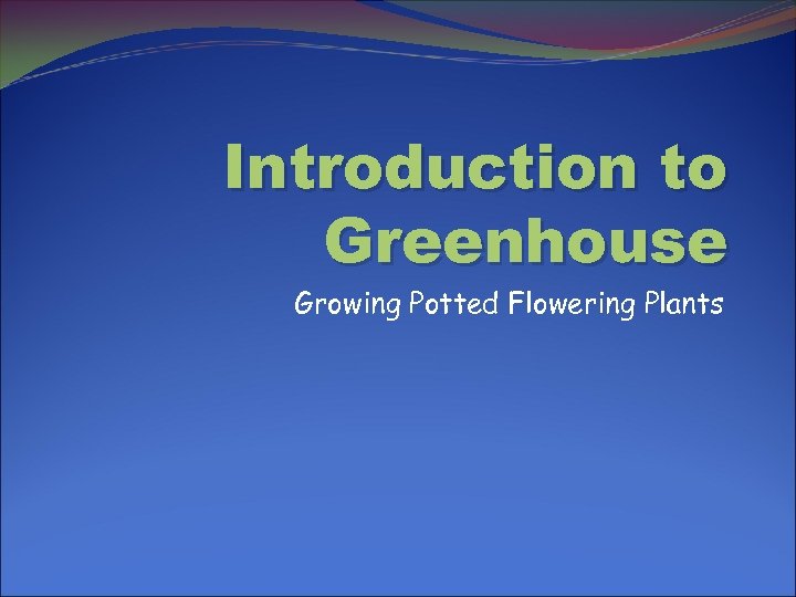 Introduction to Greenhouse Growing Potted Flowering Plants 