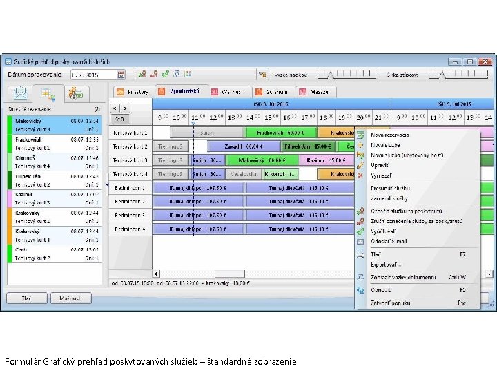 Formulár Grafický prehľad poskytovaných služieb – štandardné zobrazenie 