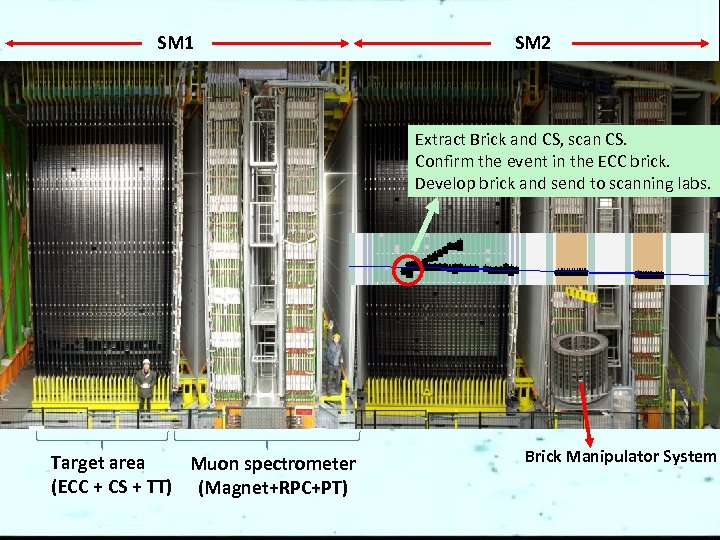SM 1 SM 2 Extract Brick and CS, scan CS. Confirm the event in
