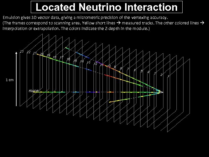 Located Neutrino Interaction Emulsion gives 3 D vector data, giving a micrometric precision of