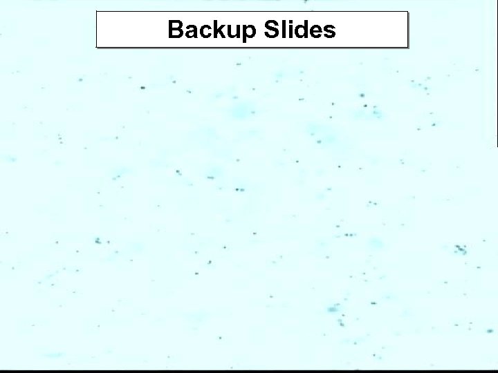Backup Slides 