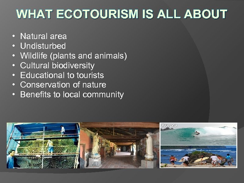 WHAT ECOTOURISM IS ALL ABOUT • • Natural area Undisturbed Wildlife (plants and animals)