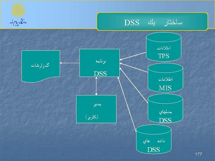  ﺳﺎﺧﺘﺎﺭ ﻳﻚ ﺍﻃﻼﻋﺎﺕ TPS ﺍﻃﻼﻋﺎﺕ MIS DSS ﺑﺮﻧﺎﻣﻪ DSS ﻣﺪﻳﺮ ﻣﺪﻟﻬﺎﻱ DSS 771