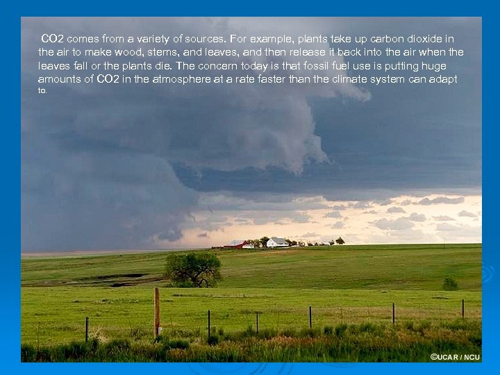 CO 2 comes from a variety of sources. For example, plants take up carbon