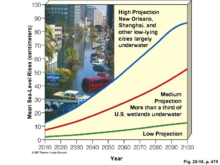 Mean Sea-Level Rises (centimeters) High Projection New Orleans, Shanghai, and other low-lying cities largely
