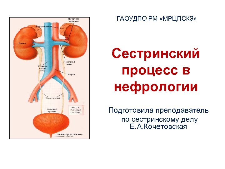 ГАОУДПО РМ «МРЦПСКЗ» Сестринский процесс в нефрологии Подготовила преподаватель по сестринскому делу Е. А.