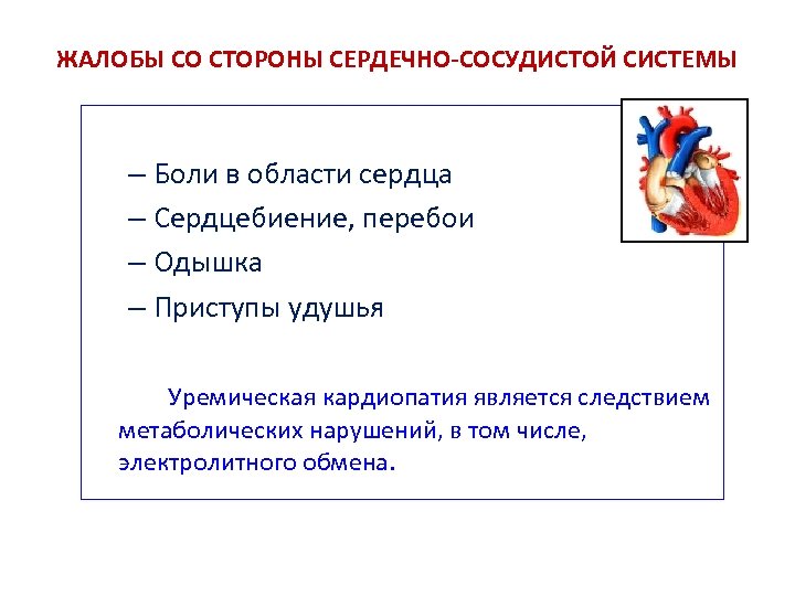 ЖАЛОБЫ СО СТОРОНЫ СЕРДЕЧНО-СОСУДИСТОЙ СИСТЕМЫ – Боли в области сердца – Сердцебиение, перебои –