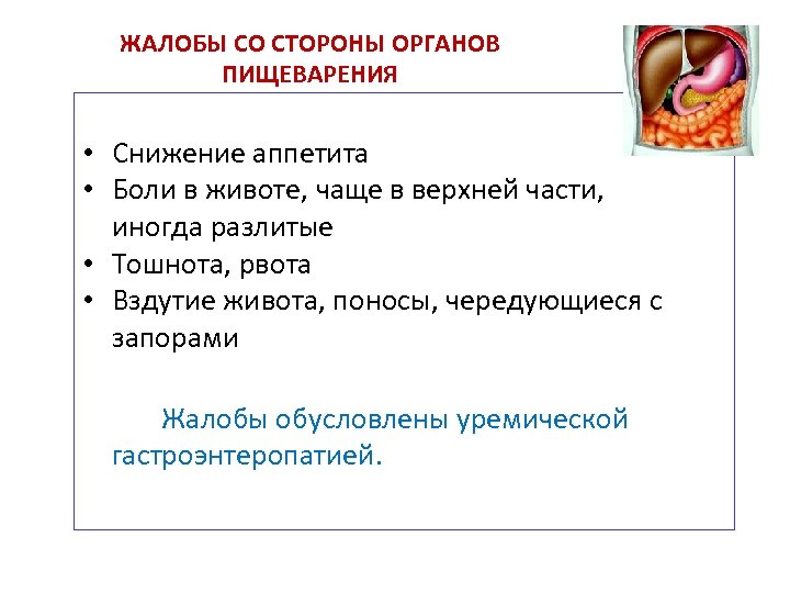 ЖАЛОБЫ СО СТОРОНЫ ОРГАНОВ ПИЩЕВАРЕНИЯ • Снижение аппетита • Боли в животе, чаще в