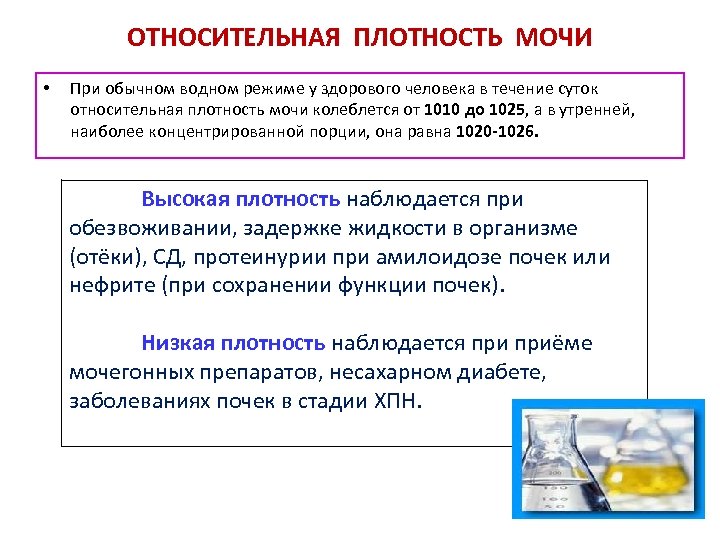 ОТНОСИТЕЛЬНАЯ ПЛОТНОСТЬ МОЧИ • При обычном водном режиме у здорового человека в течение суток