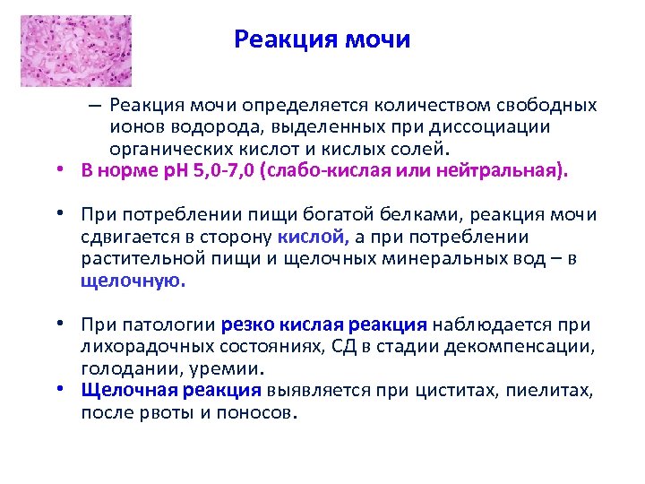 Реакция мочи – Реакция мочи определяется количеством свободных ионов водорода, выделенных при диссоциации органических