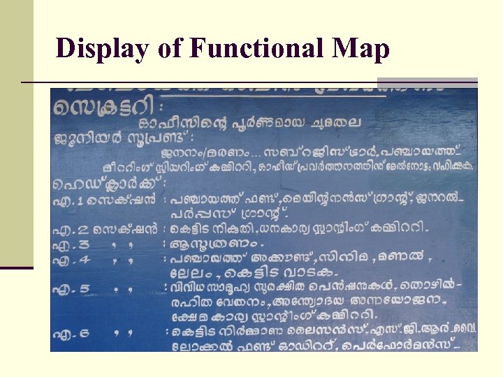 Display of Functional Map 