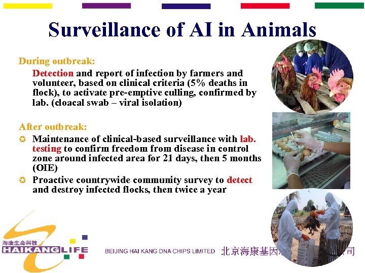 Surveillance of AI in Animals During outbreak: Detection and report of infection by farmers