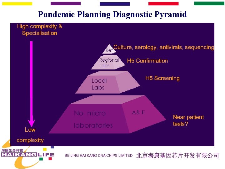 Pandemic Planning Diagnostic Pyramid 