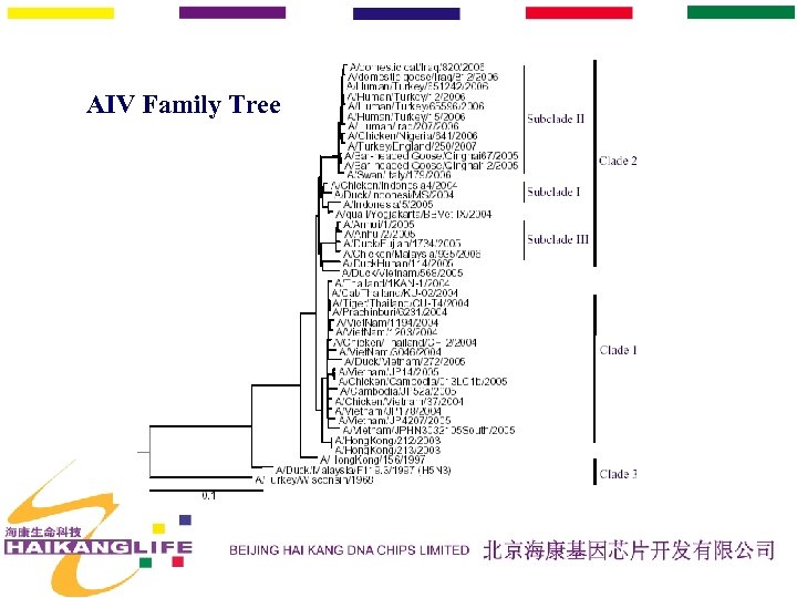 AIV Family Tree 