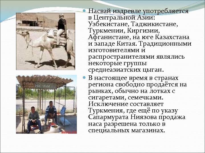 Издревле это. Насвай статистика в Кыргызстане. Насвай из чего готовить таджикский.