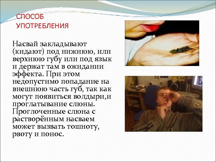 СПОСОБ УПОТРЕБЛЕНИЯ Насвай закладывают (кидают) под нижнюю, или верхнюю губу или под язык и